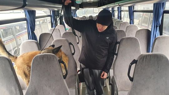 Psy wytropiły narkotyki