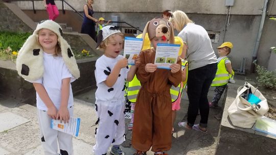 Pszczółkowi propagatorzy czystości