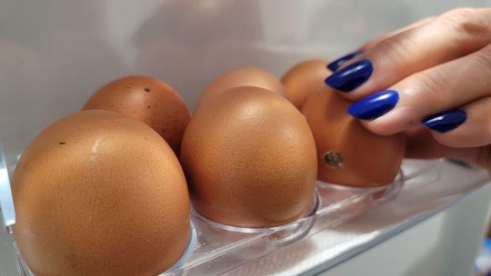 Ptasia grypa (nawet w powiecie gryfińskim) i koniec chowu klatkowego windują ceny w dyskontach Ptasia grypa (nawet w powiecie gryfińskim) i koniec chowu klatkowego windują ceny w dyskontach