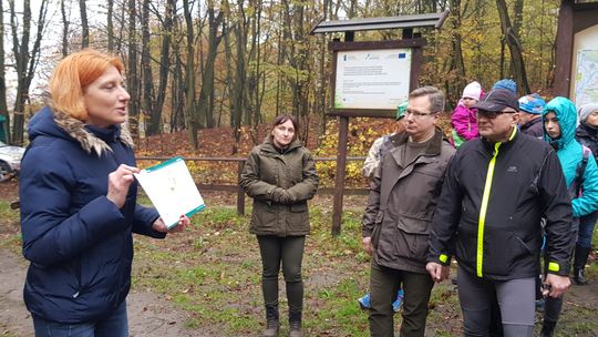 Puszcza Bukowa dobre miejsce na wypoczynek 