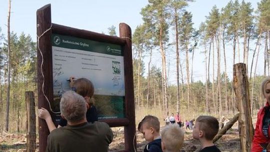 Puszcza Bukowa – między kulturą, a naturą