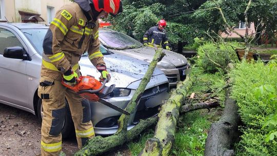 Raport strażaków za początek września 2025 r. Wspólnie z policją...