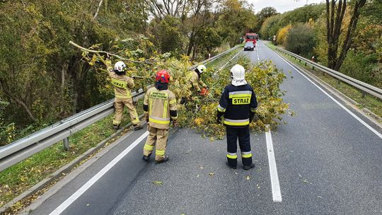 Raport straży wyjątkowo za ostatnie 8 dni