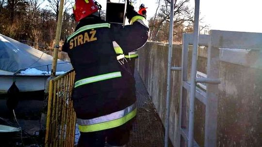 Ratowali przystań kajakarską przed powodzią [ZDJĘCIA]