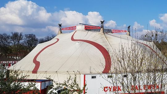 Reklamują cyrk w gminnej placówce. Co ze zwierzętami na scenie w Gryfinie?