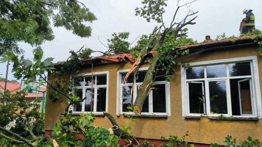 Rekordowy bilans po burzach w powiecie gryfińskim. Strażacy interweniowali ponad 100 razy w kilka dni
