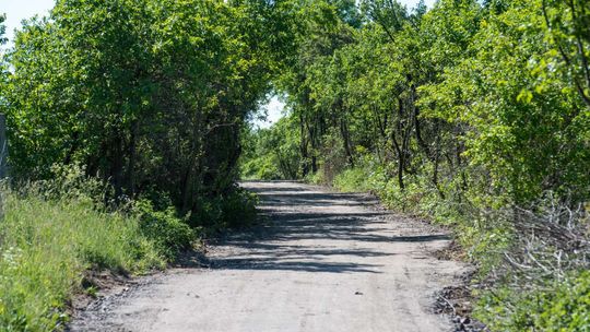 Remontowali drogę pod nadzorem PUK