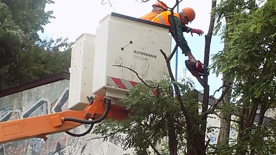 Robili porządki na Dworcowej