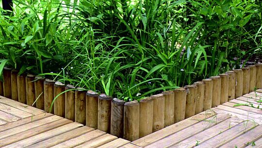 Rollbordery i palisady ogrodowe - uporządkuj przestrzeń w swoim ogrodzie