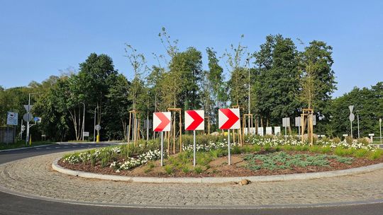 Rondo nie musi być kamienne. Może być jak botaniczny ogród