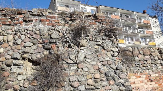 Rosną drzewa na murach. Kiedy władze zadbają o zabytki?