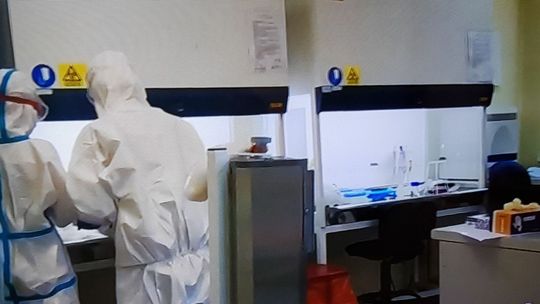 Rośnie dobowa liczba zakażonych koronawirusem Rośnie dobowa liczba zakażonych koronawirusem