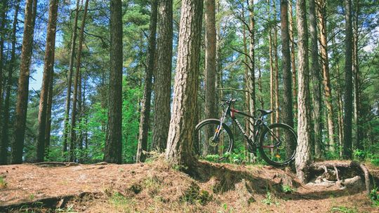 Rower crossowy vs trekkingowy – analiza różnic i podobieństw Rower crossowy vs trekkingowy – analiza różnic i podobieństw