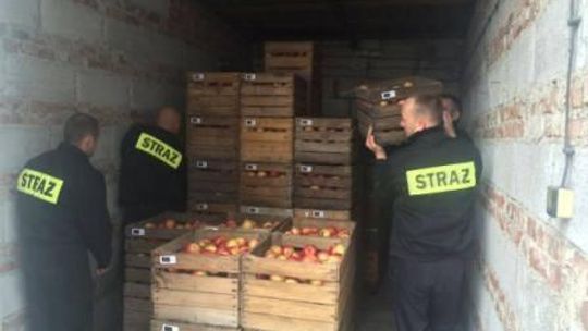 Rozdali prawie 10 ton jabłek
