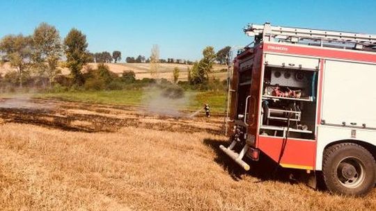 Rozległy pożar ścierniska