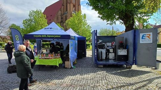 Rozsady za elektroodpady w Chojnie i Trzcińsku-Zdroju. Odbierz sadzonki za stary sprzęt dzisiaj