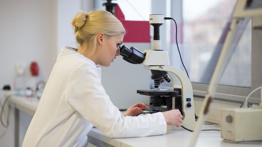 Rusza kolejna edycja doktoratów wdrożeniowych