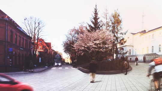 Rusza przebudowa ulic 1 Maja i Sprzymierzonych w Gryfinie w ramach Centrum Przesiadkowego Szczecińskiej Kolei Metropolitarnej 