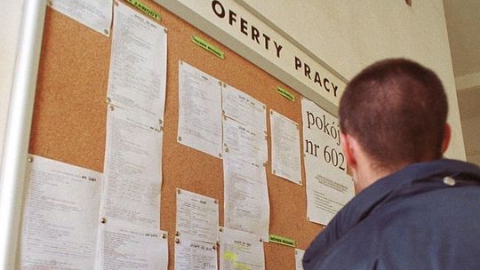 Rynek pracy w powiecie gryfińskim i okolicach. Gdzie najtrudniej o pracownika, a gdzie czeka najwięcej ofert?