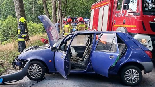 Rzucił się na niego kot. A kierowca uderzył w drzewo