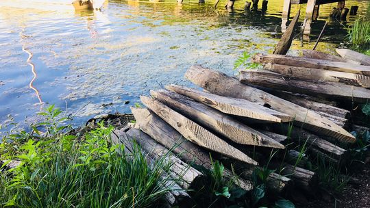 Są dumni z zardzewiałych gwoździ? - pyta czytelnik