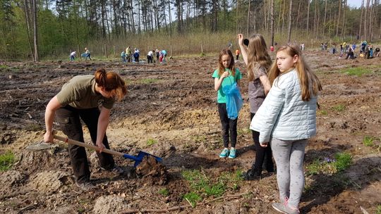 Sadzili drzewa w Puszczy Bukowej 