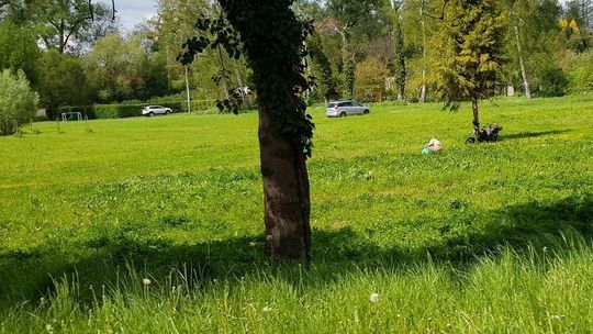 Samobójstwo w parku?