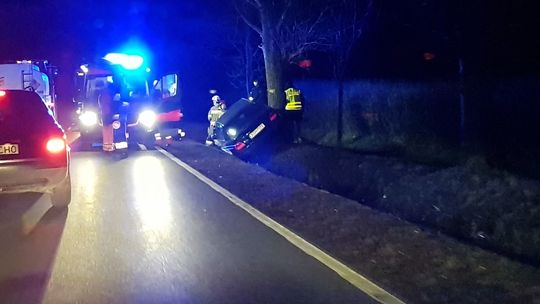 Samochód uderzył w sarnę, a potem w drzewo