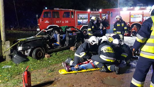 Samochód uderzył w słup. Akcja strażaków [ZDJĘCIA, FILM]