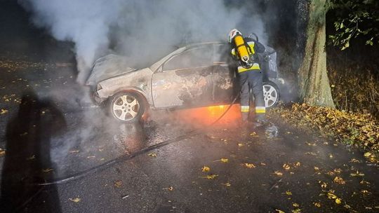 Samochodem uderzył w drzewo. Auto spłonęło Samochodem uderzył w drzewo. Auto spłonęło