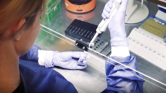 Sanepid pobrał wymazy od dzieci i personelu. Wzrasta liczba zakażeń salmonellą w żłobku w Gryfinie