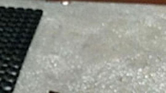 Sąsiedzie, jeśli jeszcze raz nie posprzątasz po swoim psie, zaniosę tę kupę tobie pod drzwi! - zapowiada gryfinianka Sąsiedzie, jeśli jeszcze raz nie posprzątasz po swoim psie, zaniosę tę kupę tobie pod drzwi! - zapowiada gryfinianka