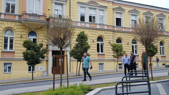 Sawarynie, wyjrzyj przez okno, drzewa schną!