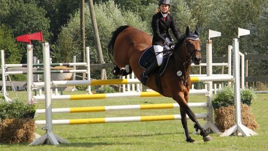 Sedina Horse Show – piękne konie i widowiskowe skoki