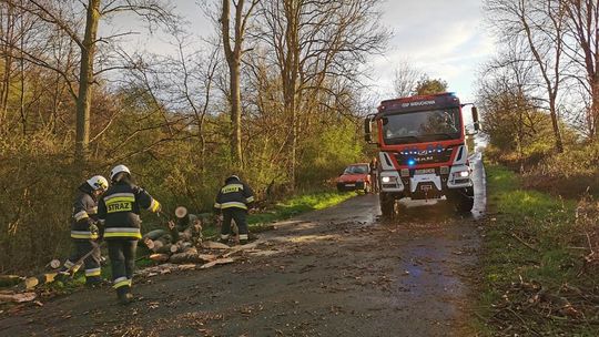 Silny wiatr łamie konary drzew