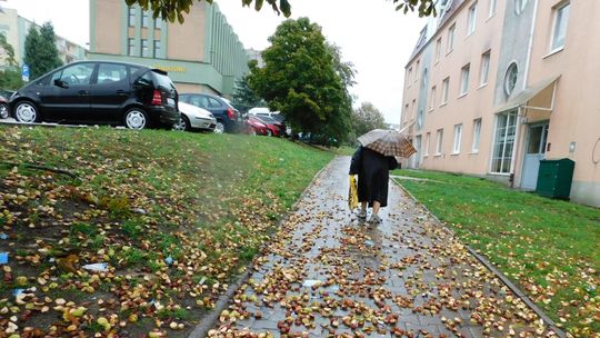 Silny wiatr utrudnia nam życie i narobił szkód