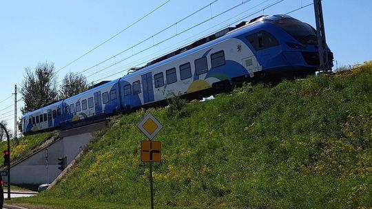 Skąd te żółte dywany wokół Gryfina