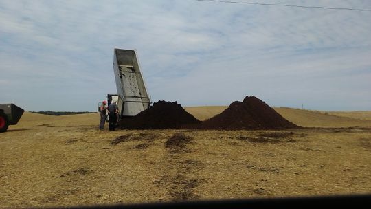 Skąd ten przykry zapach?
