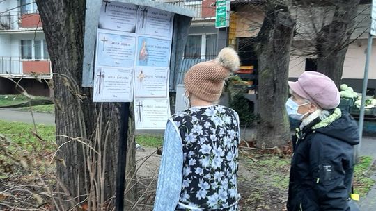 Skąd tyle zgonów? Stawiamy hipotezę