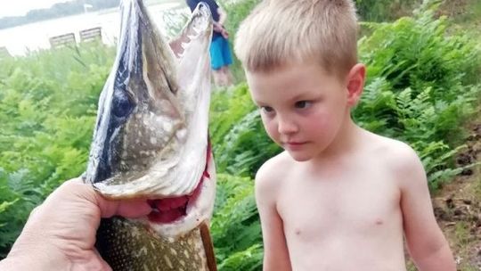 Skąd wyciągają takie szczupaki?