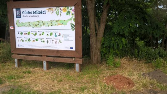 Skąd ziemia z kortów na Górce Miłości? Skąd ziemia z kortów na Górce Miłości?