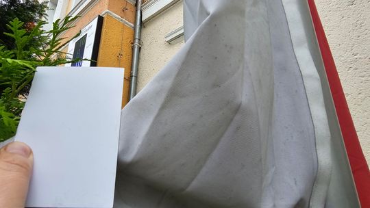 Skandal w powiecie gryfińskim. Brudna gra flagą narodową. Burmistrz woli kamery zamiast szacunku do barw?