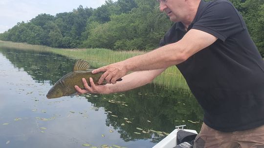 Skuteczna interwencja strażników Społecznej Straży Rybackiej [FOTO]