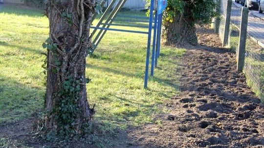 Służby sprawdzą, co działo się na cmentarzysku