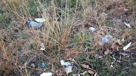 Śmieci i usunięcie koszy to nowy program oszczędnościowy gminy czy sposób na jej promocję? - pyta czytelnik