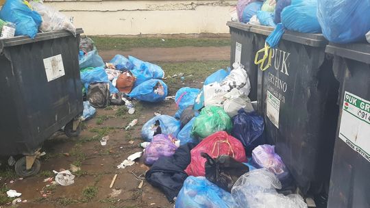 Śmieci w nowym gryfińskim ładzie [skarga czytelniczki]