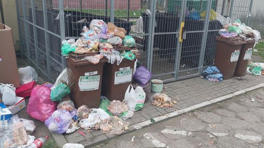 Śmieciowy problem w Gryfinie Śmieciowy problem w Gryfinie