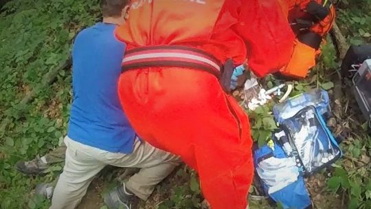 Śmierć pod przywalonym drzewem