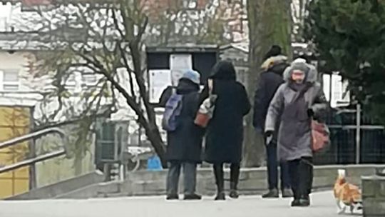 Śmierć rozdziela dłonie, ale nigdy nie przecina więzi dusz