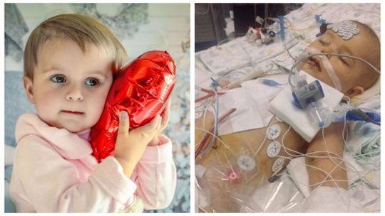 Śmierć w ramionach matki albo operacja warta fortunę. Oliwce kończy się czas!